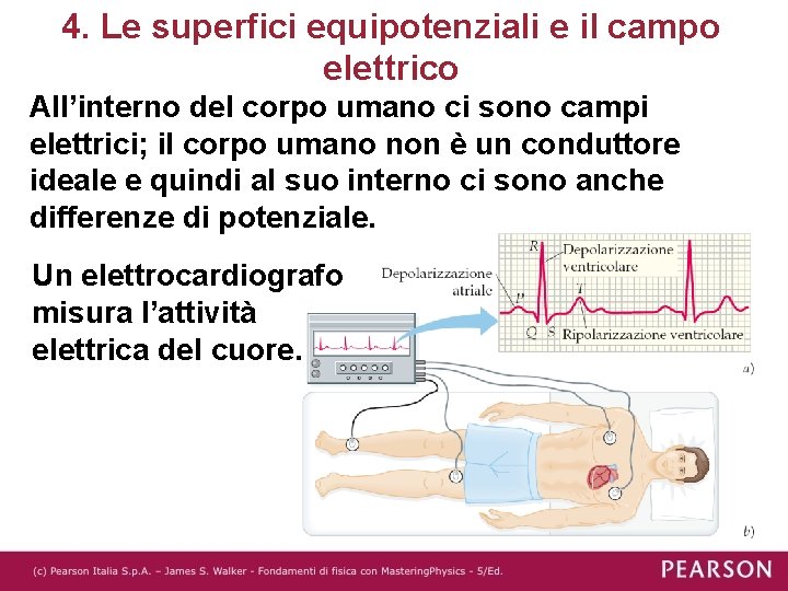 4. Le superfici equipotenziali e il campo elettrico All’interno del corpo umano ci sono
