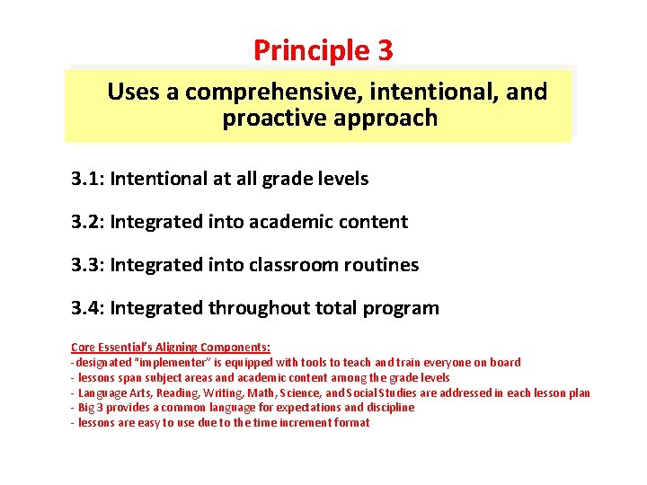 Principle 3 Uses a comprehensive, intentional, and proactive approach 3. 1: Intentional at all