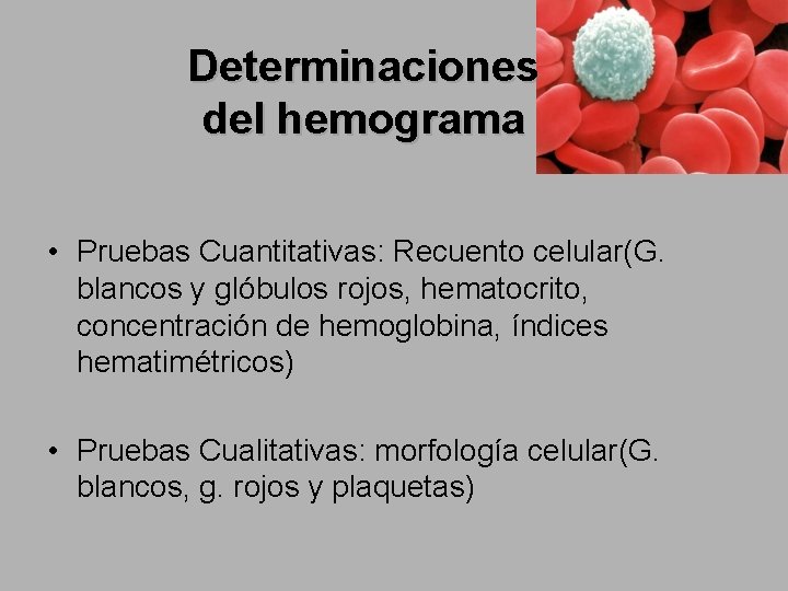 Determinaciones del hemograma • Pruebas Cuantitativas: Recuento celular(G. blancos y glóbulos rojos, hematocrito, concentración