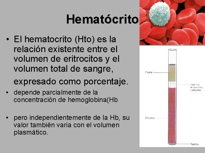 Hematócrito • El hematocrito (Hto) es la relación existente entre el volumen de eritrocitos