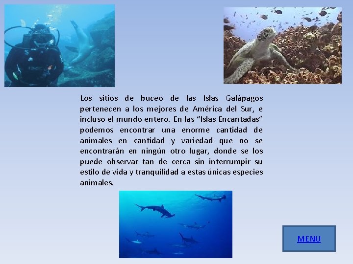 Los sitios de buceo de las Islas Galápagos pertenecen a los mejores de América