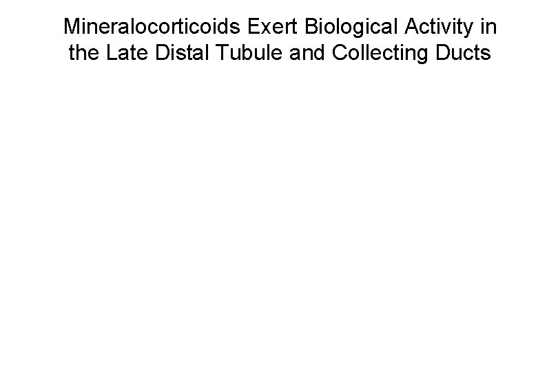 Mineralocorticoids Exert Biological Activity in the Late Distal Tubule and Collecting Ducts 