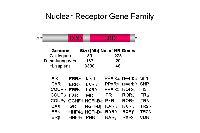 Nuclear Receptor Gene Family DBD N LBD C Genome Size (Mb) No. of NR