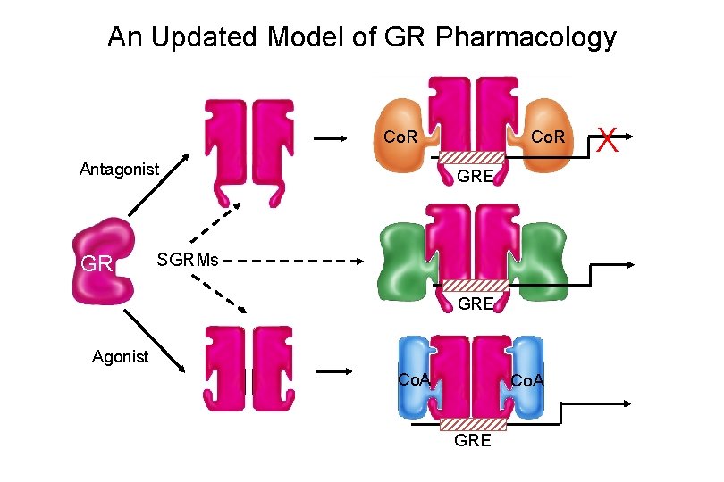 An Updated Model of GR Pharmacology Co. R Antagonist GR GRE SGRMs GRE Agonist