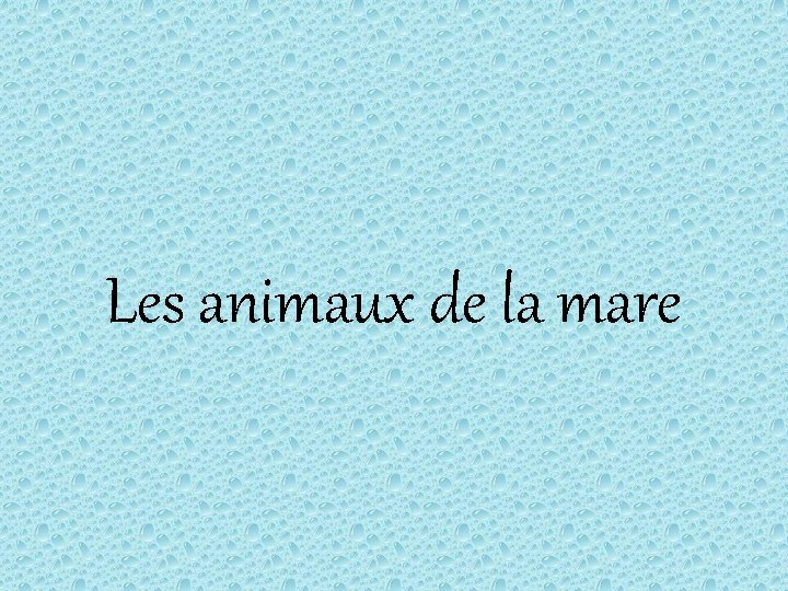 Les animaux de la mare 