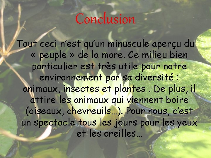 Conclusion Tout ceci n’est qu’un minuscule aperçu du « peuple » de la mare.