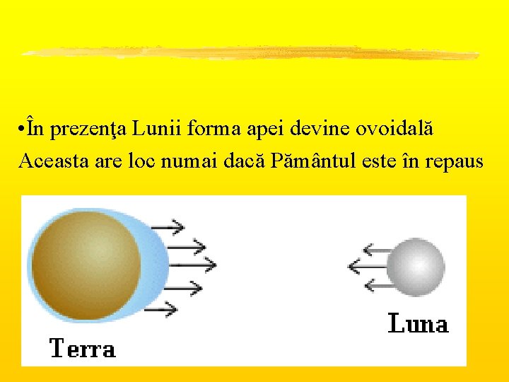  • În prezenţa Lunii forma apei devine ovoidală Aceasta are loc numai dacă