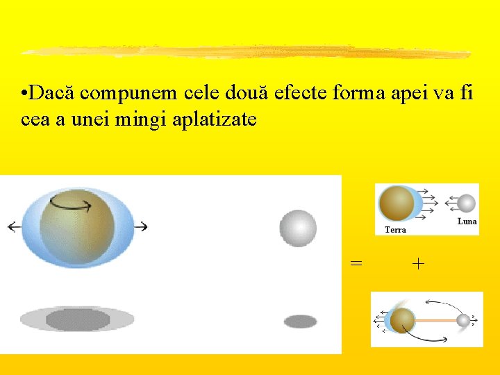  • Dacă compunem cele două efecte forma apei va fi cea a unei