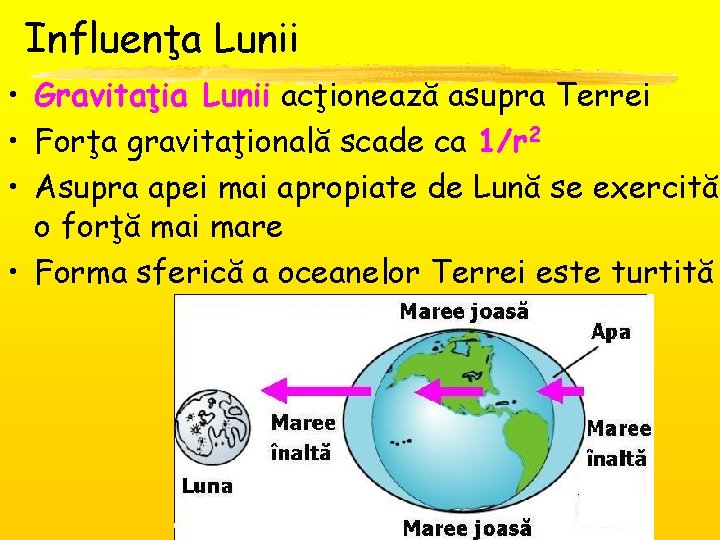 Influenţa Lunii • Gravitaţia Lunii acţionează asupra Terrei • Forţa gravitaţională scade ca 1/r