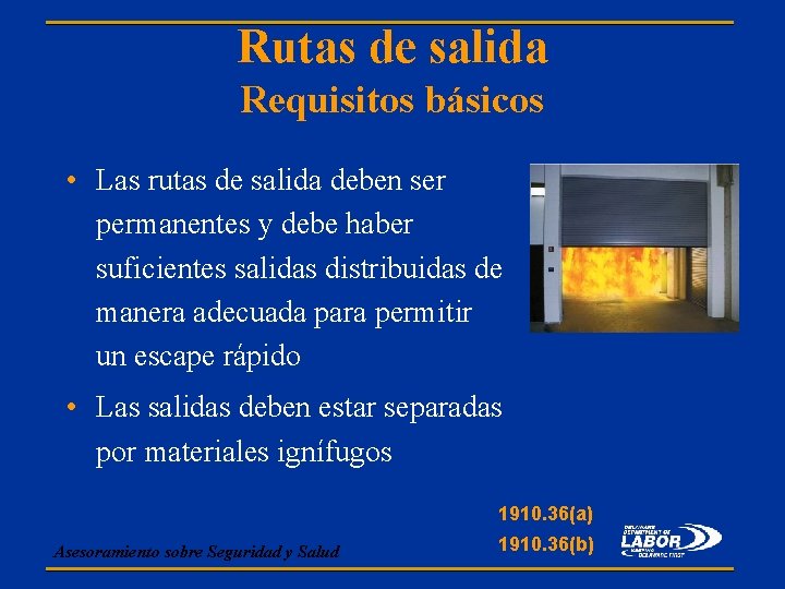 Rutas de salida Requisitos básicos • Las rutas de salida deben ser permanentes y