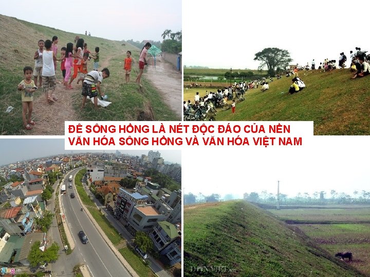 ĐÊ SÔNG HỒNG LÀ NÉT ĐỘC ĐÁO CỦA NỀN VĂN HÓA SÔNG HỒNG VÀ