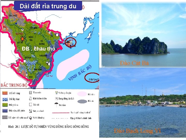 Dải đất rìa trung du ĐB. châu thổ Đảo Cát Bà Đảo Bạch Long