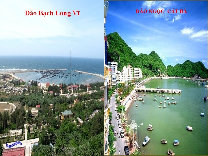 Đảo Bạch Long Vĩ ĐẢO NGỌC- CÁT BÀ 