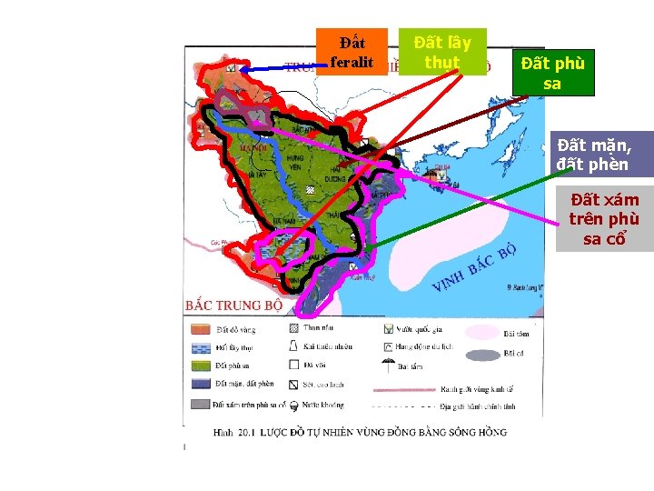 Đất feralit Đất lầy thụt Đất phù sa Đất mặn, đất phèn Đất xám
