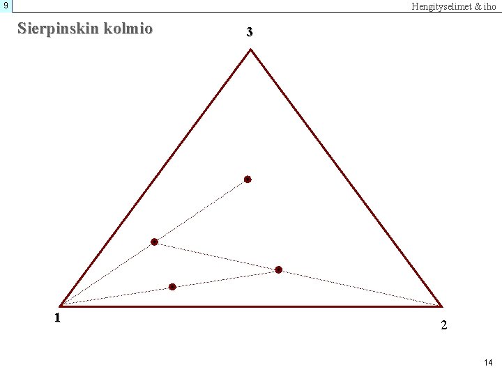 9 Hengityselimet & iho Sierpinskin kolmio 1 3 2 14 