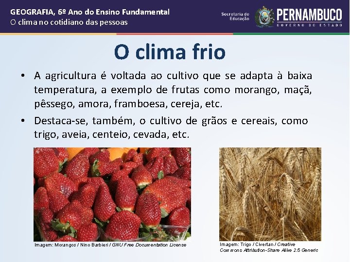 GEOGRAFIA, 6º Ano do Ensino Fundamental O clima no cotidiano das pessoas O clima