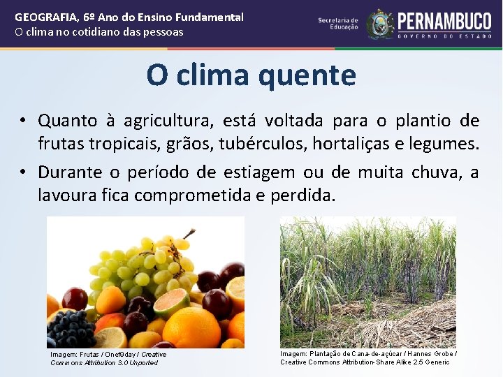 GEOGRAFIA, 6º Ano do Ensino Fundamental O clima no cotidiano das pessoas O clima