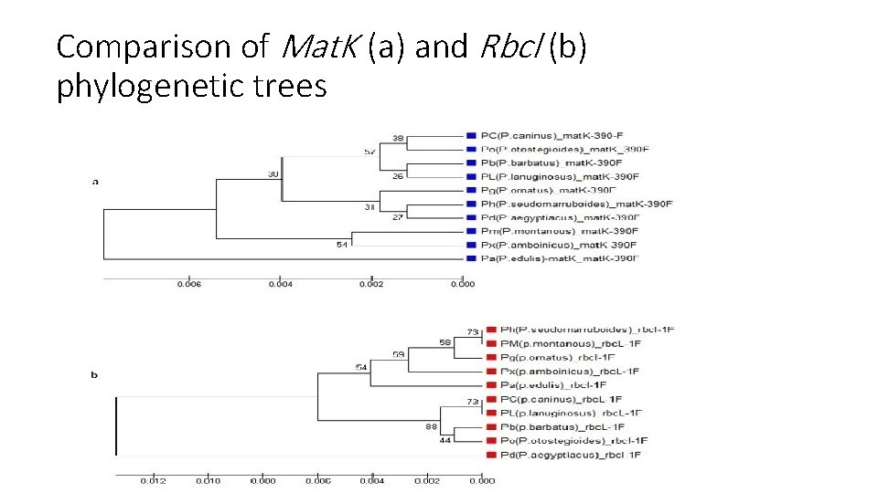 Comparison of Mat. K (a) and Rbcl (b) phylogenetic trees 