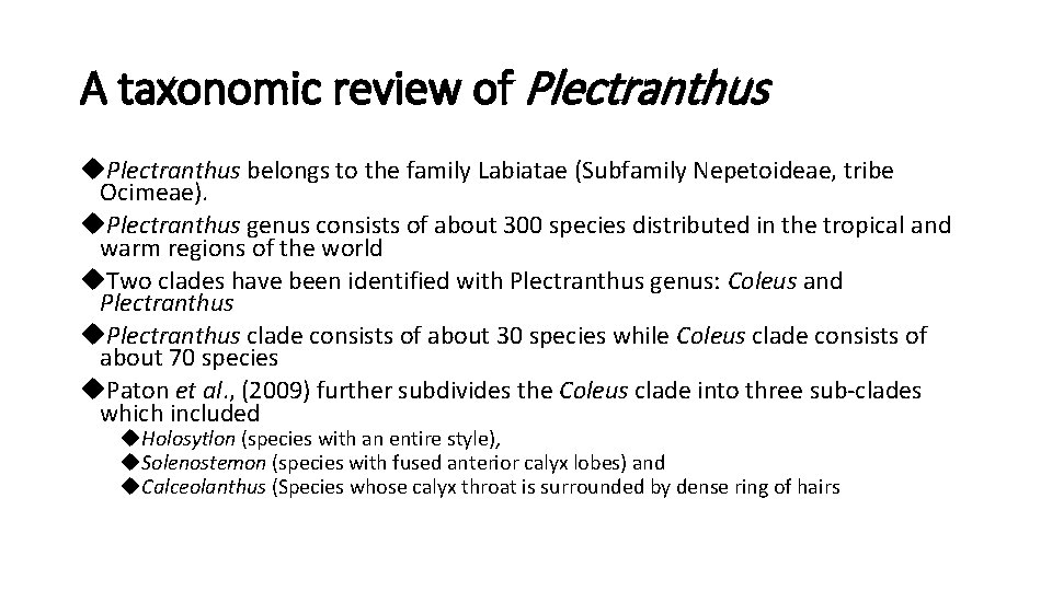 A taxonomic review of Plectranthus belongs to the family Labiatae (Subfamily Nepetoideae, tribe Ocimeae).