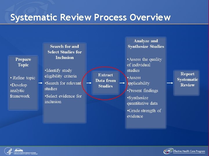 Systematic Review Process Overview 