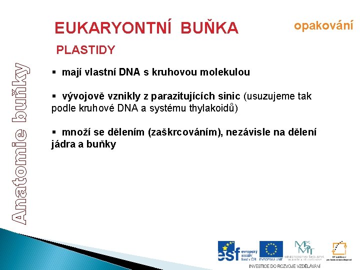 EUKARYONTNÍ BUŇKA opakování PLASTIDY § mají vlastní DNA s kruhovou molekulou § vývojově vznikly EUKARYONTNÍ BUŇKA opakování PLASTIDY § mají vlastní DNA s kruhovou molekulou § vývojově vznikly