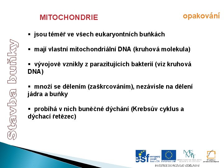 MITOCHONDRIE opakování § jsou téměř ve všech eukaryontních buňkách § mají vlastní mitochondriální DNA MITOCHONDRIE opakování § jsou téměř ve všech eukaryontních buňkách § mají vlastní mitochondriální DNA