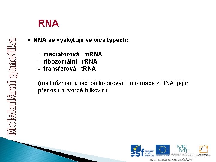 RNA § RNA se vyskytuje ve více typech: - mediátorová m. RNA - ribozomální RNA § RNA se vyskytuje ve více typech: - mediátorová m. RNA - ribozomální