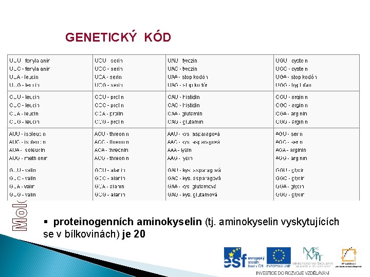 GENETICKÝ KÓD § proteinogenních aminokyselin (tj. aminokyselin vyskytujících se v bílkovinách) je 20 GENETICKÝ KÓD § proteinogenních aminokyselin (tj. aminokyselin vyskytujících se v bílkovinách) je 20