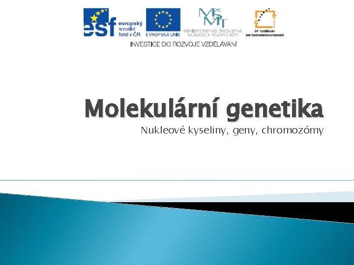 Molekulární genetika Nukleové kyseliny, geny, chromozómy Molekulární genetika Nukleové kyseliny, geny, chromozómy