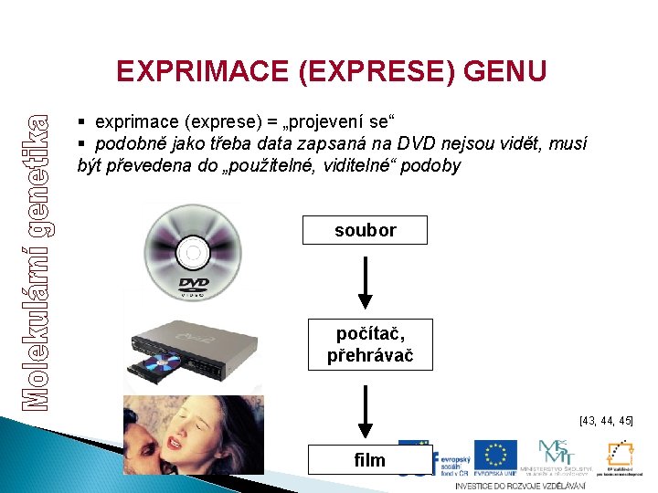EXPRIMACE (EXPRESE) GENU § exprimace (exprese) = „projevení se“ § podobně jako třeba data EXPRIMACE (EXPRESE) GENU § exprimace (exprese) = „projevení se“ § podobně jako třeba data