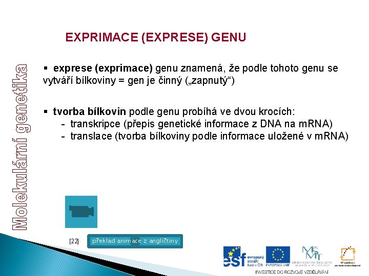 EXPRIMACE (EXPRESE) GENU § exprese (exprimace) genu znamená, že podle tohoto genu se vytváří EXPRIMACE (EXPRESE) GENU § exprese (exprimace) genu znamená, že podle tohoto genu se vytváří
