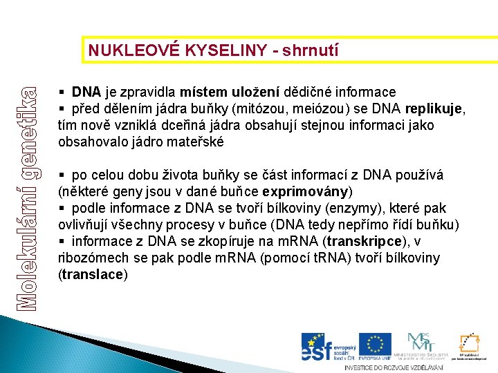 NUKLEOVÉ KYSELINY - shrnutí § DNA je zpravidla místem uložení dědičné informace § před NUKLEOVÉ KYSELINY - shrnutí § DNA je zpravidla místem uložení dědičné informace § před