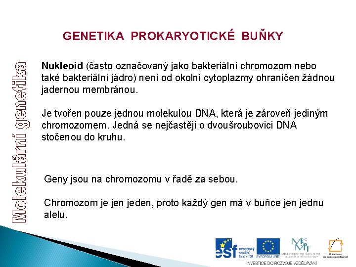 GENETIKA PROKARYOTICKÉ BUŇKY Nukleoid (často označovaný jako bakteriální chromozom nebo také bakteriální jádro) není GENETIKA PROKARYOTICKÉ BUŇKY Nukleoid (často označovaný jako bakteriální chromozom nebo také bakteriální jádro) není