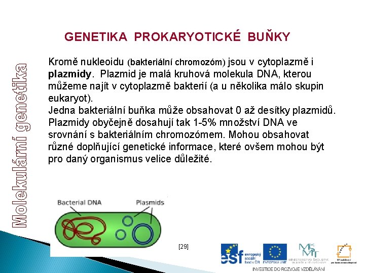 GENETIKA PROKARYOTICKÉ BUŇKY Kromě nukleoidu (bakteriální chromozóm) jsou v cytoplazmě i plazmidy. Plazmid je GENETIKA PROKARYOTICKÉ BUŇKY Kromě nukleoidu (bakteriální chromozóm) jsou v cytoplazmě i plazmidy. Plazmid je