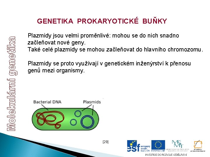 GENETIKA PROKARYOTICKÉ BUŇKY Plazmidy jsou velmi proměnlivé: mohou se do nich snadno začleňovat nové GENETIKA PROKARYOTICKÉ BUŇKY Plazmidy jsou velmi proměnlivé: mohou se do nich snadno začleňovat nové