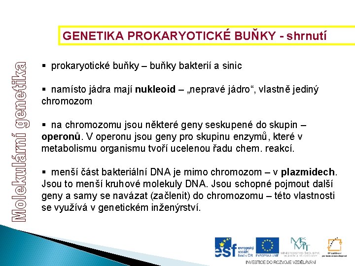 GENETIKA PROKARYOTICKÉ BUŇKY - shrnutí § prokaryotické buňky – buňky bakterií a sinic § GENETIKA PROKARYOTICKÉ BUŇKY - shrnutí § prokaryotické buňky – buňky bakterií a sinic §