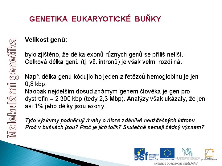 GENETIKA EUKARYOTICKÉ BUŇKY Velikost genů: bylo zjištěno, že délka exonů různých genů se příliš GENETIKA EUKARYOTICKÉ BUŇKY Velikost genů: bylo zjištěno, že délka exonů různých genů se příliš