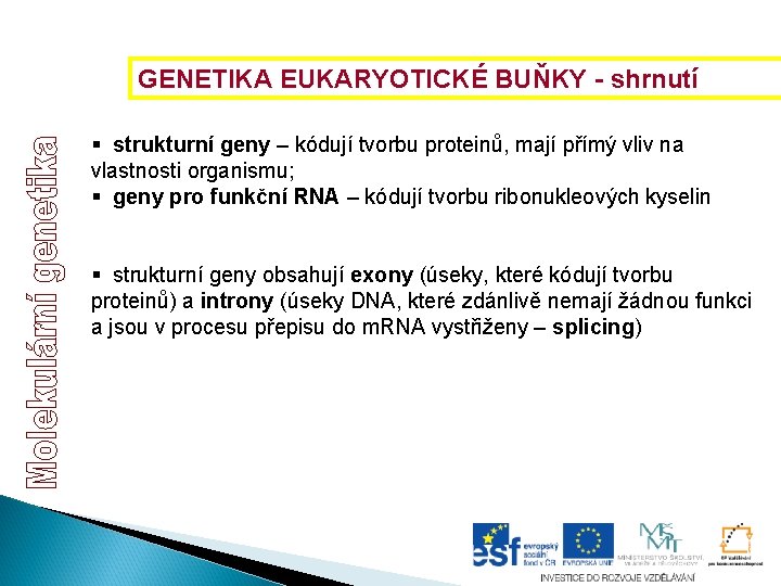 GENETIKA EUKARYOTICKÉ BUŇKY - shrnutí § strukturní geny – kódují tvorbu proteinů, mají přímý GENETIKA EUKARYOTICKÉ BUŇKY - shrnutí § strukturní geny – kódují tvorbu proteinů, mají přímý