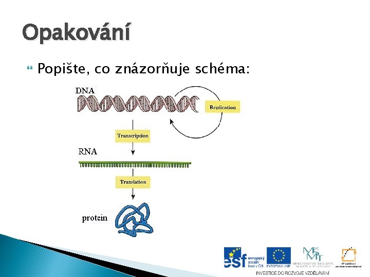 Opakování Popište, co znázorňuje schéma: Opakování Popište, co znázorňuje schéma: