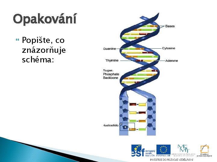 Opakování Popište, co znázorňuje schéma: Opakování Popište, co znázorňuje schéma: