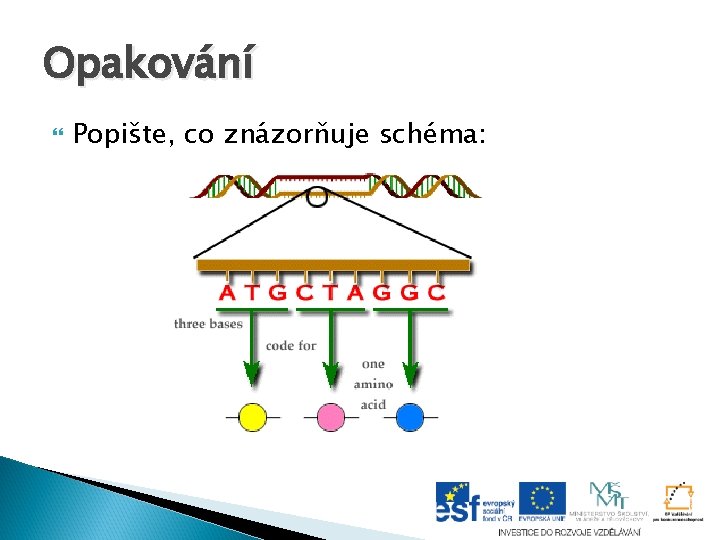 Opakování Popište, co znázorňuje schéma: Opakování Popište, co znázorňuje schéma: