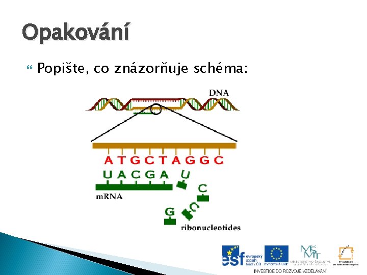 Opakování Popište, co znázorňuje schéma: Opakování Popište, co znázorňuje schéma: