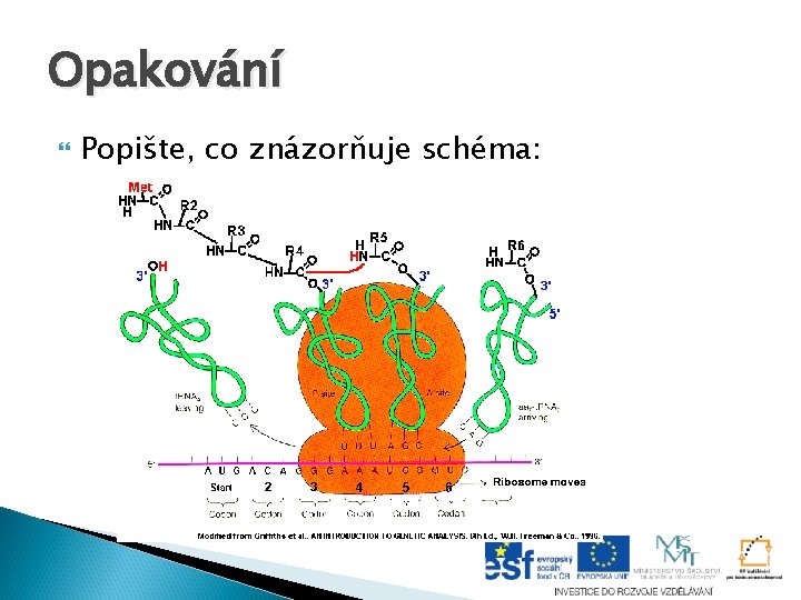 Opakování Popište, co znázorňuje schéma: Opakování Popište, co znázorňuje schéma: