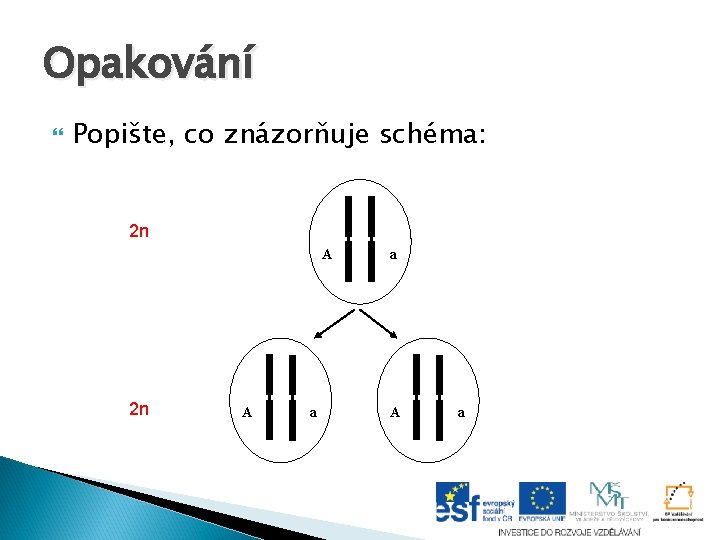 Opakování Popište, co znázorňuje schéma: 2 n A a a A a Opakování Popište, co znázorňuje schéma: 2 n A a a A a