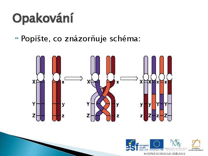 Opakování Popište, co znázorňuje schéma: Opakování Popište, co znázorňuje schéma: