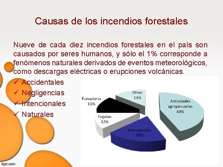Causas de los incendios forestales Nueve de cada diez incendios forestales en el país