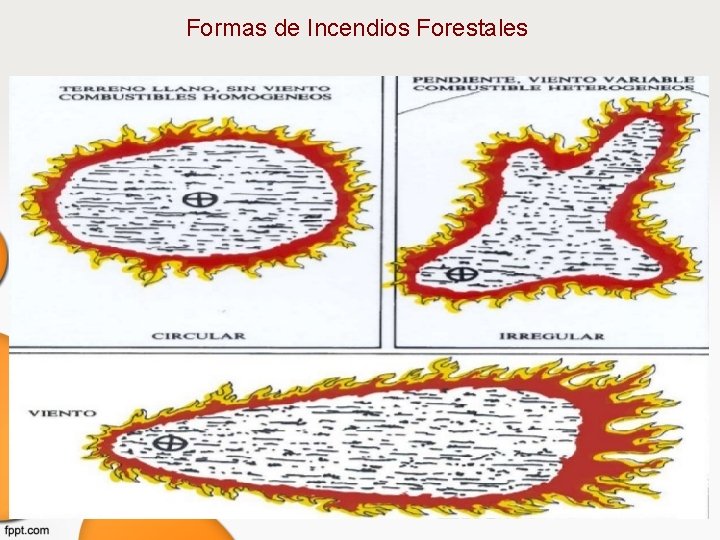 Formas de Incendios Forestales 