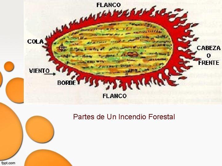 Partes de Un Incendio Forestal 