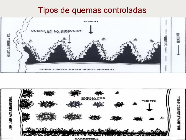 Tipos de quemas controladas 