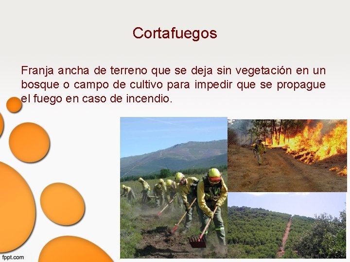 Cortafuegos Franja ancha de terreno que se deja sin vegetación en un bosque o